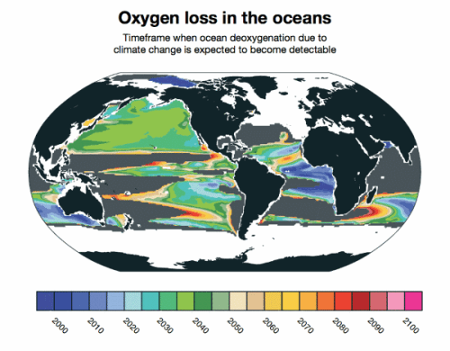 Oxygen loss in the oceans